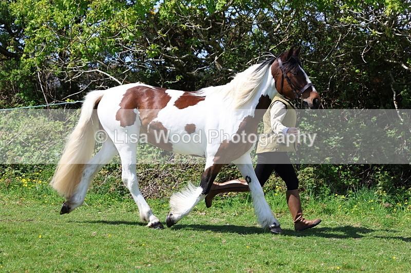 3E7A0291 - Class 19: Best Coloured in Hand