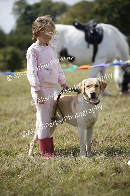 20250831-3775 - Dog Show