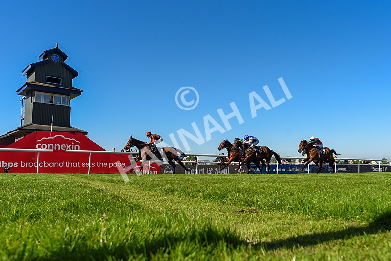 130525-Race 6-Analogical-4406 - Race 6