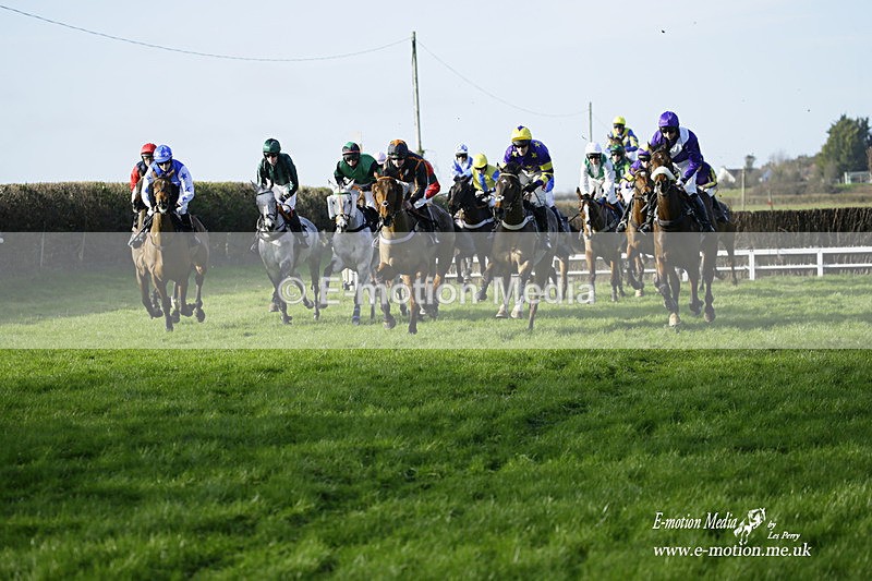 PtP 300122 231 - South Dorset Hunt - Point-to-Point Races 30/01/2022