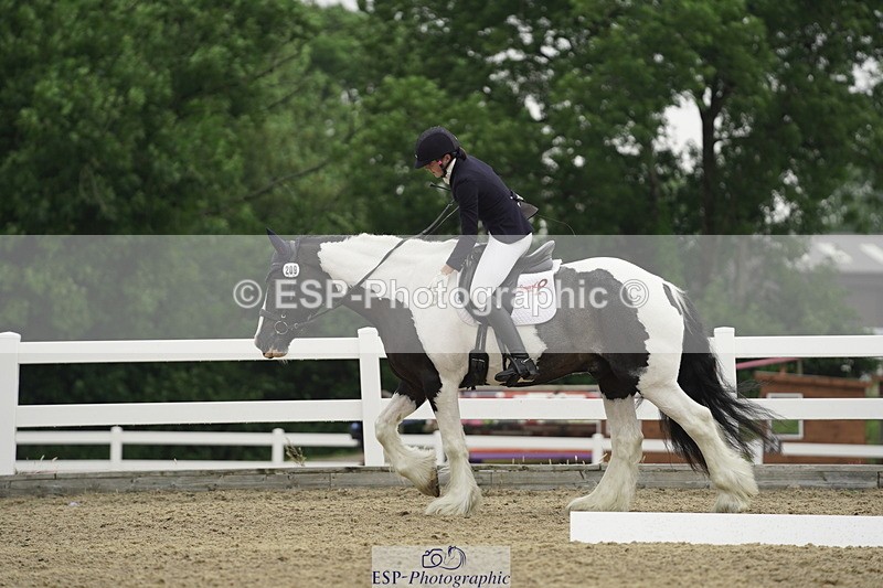 230708A-111710-00919 - Novice 30