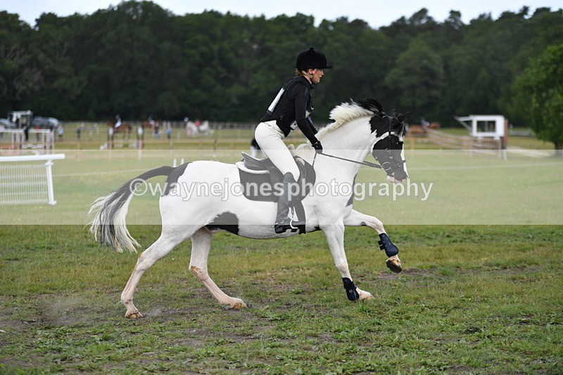 WJ5_6619 - Time 10:50 to 11:00