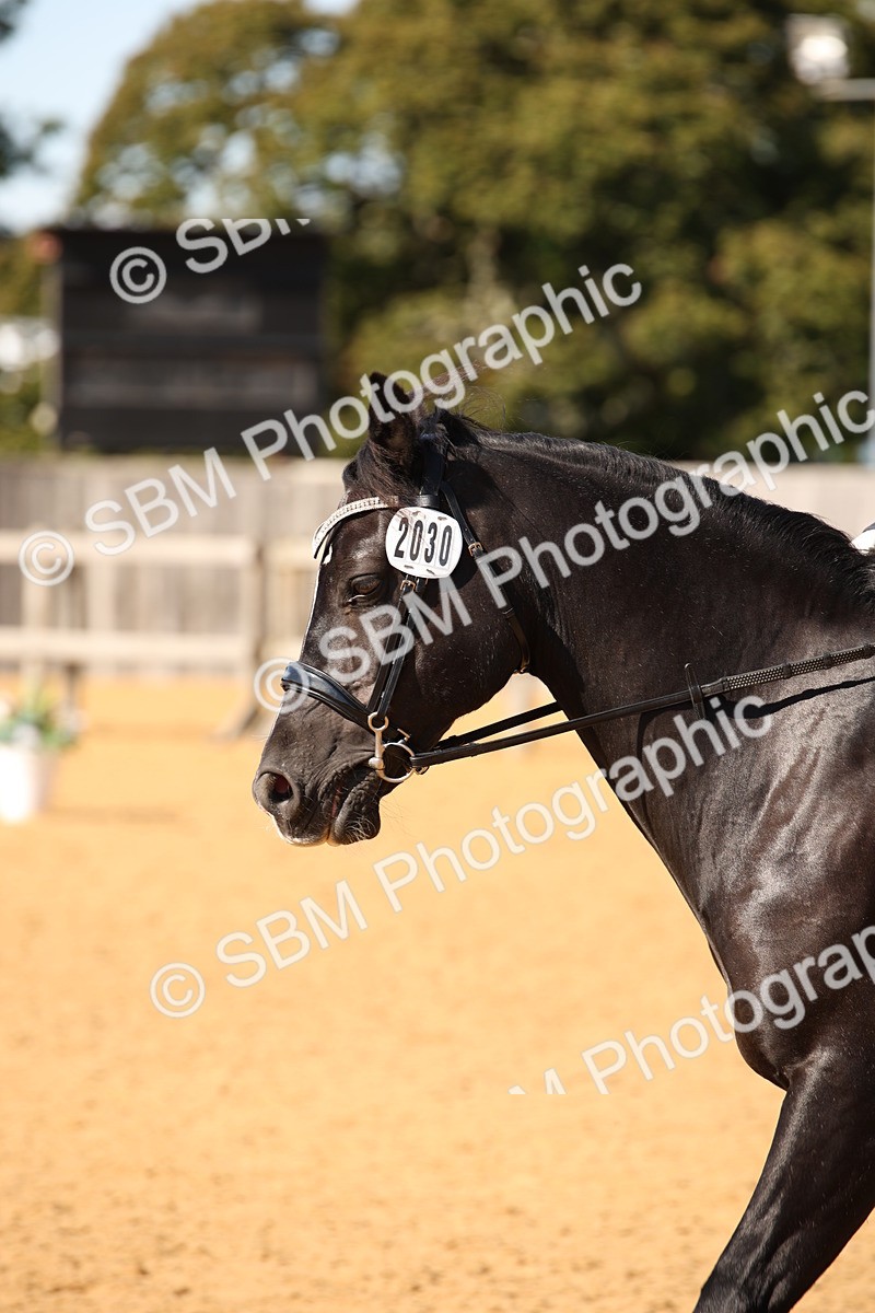 SBM_24217 - D5 - Small Tour Championship - Intro C