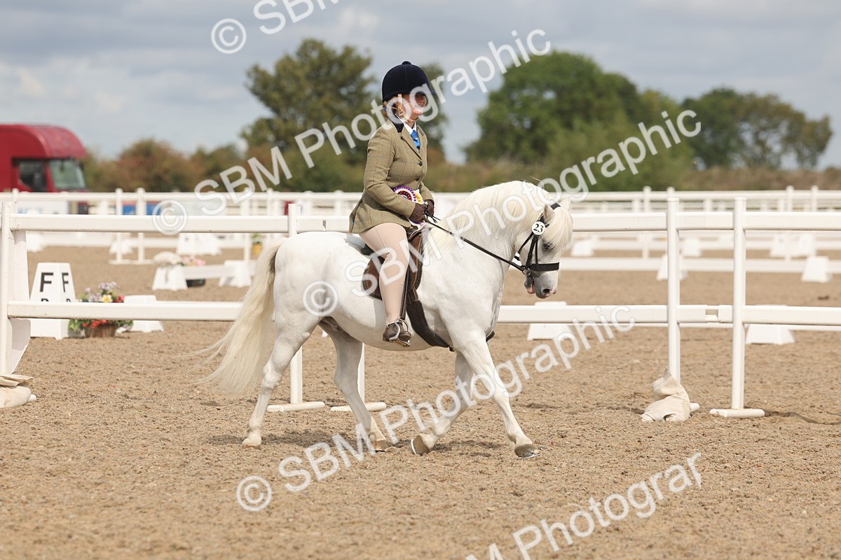 SBM_04607 - Class 19 - Horse/Pony Judge would most like to take home