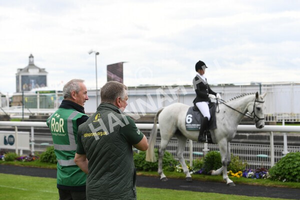 yr22052022r8e-43 - ROR - Parade Ring York