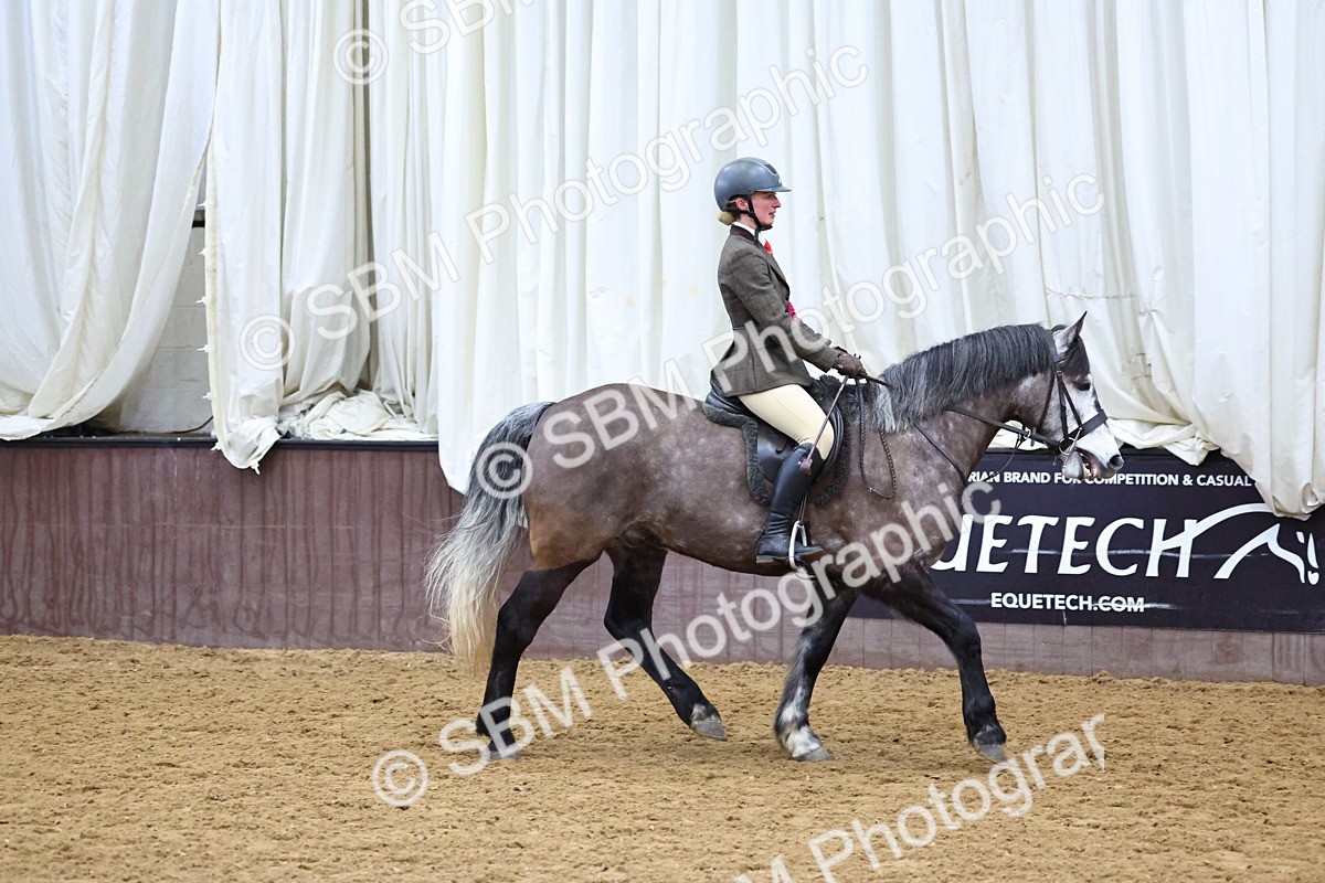 SBM_005133 - Class 41 - Not exceeding 143cms