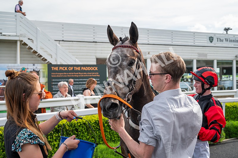 130524-Race 6-Stellarmasterpiece-6286 - Race 6