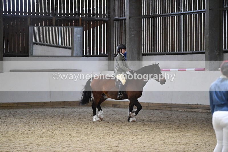 WJ5_8493 - Class 14 Novice Ridden/Rider