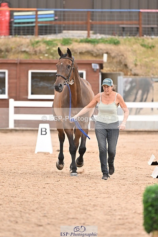 250716-155512-02279 - Trot Up 3.30 to 4.30