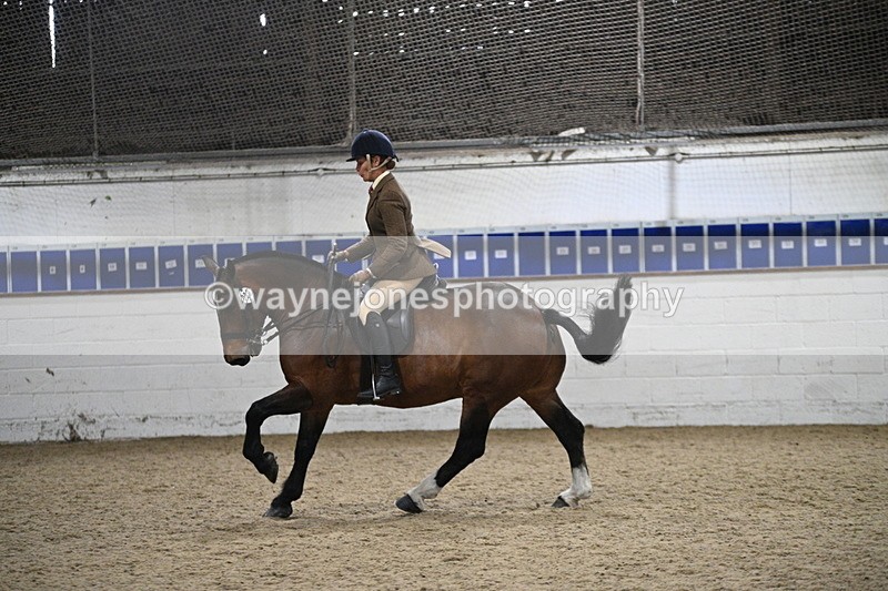 WJ7_4012 - Class 17 Ridden Cob