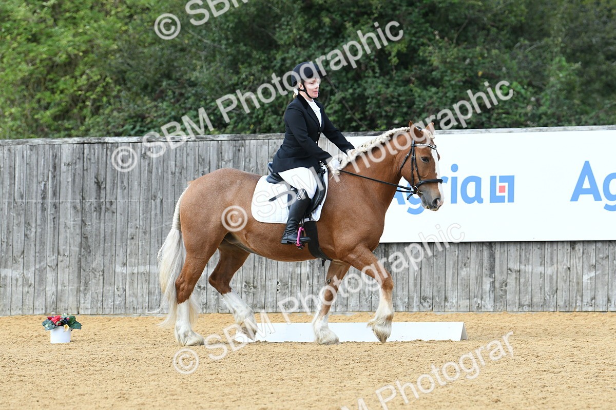 SBM_03091 - D7 Small Tour Championship Prelim 1
