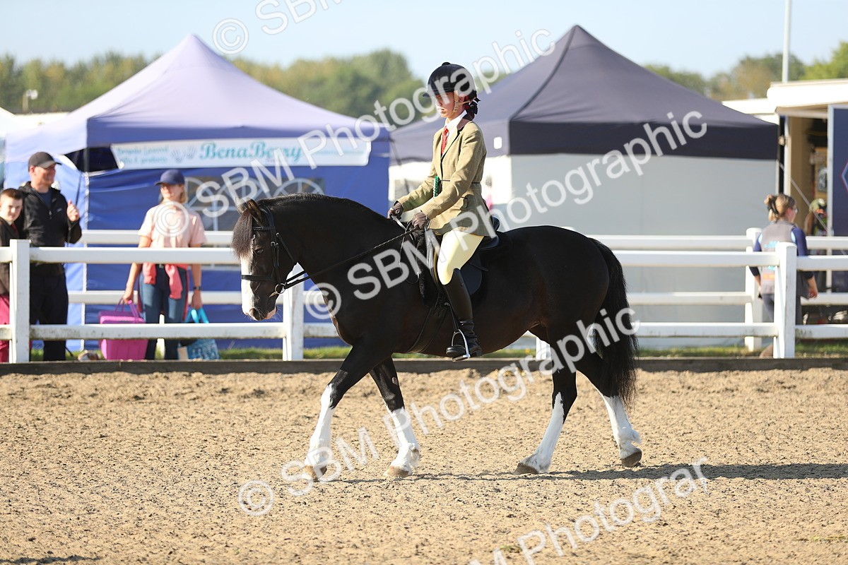 SBM_00502 - Class 41 Best Turned Out Ridden
