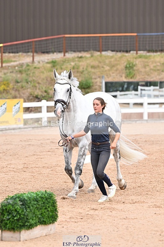 250716-142952-01124 - Trot Up 1.30 to 2.30