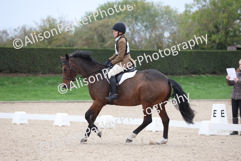 20251011-0523 - Class 5 - Novice 3