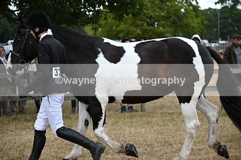 WJ6_8229 - Class 10 Coloured in Hand