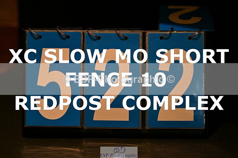 ESP_522 - G-522-Sue.Parkes Inc Trot Up