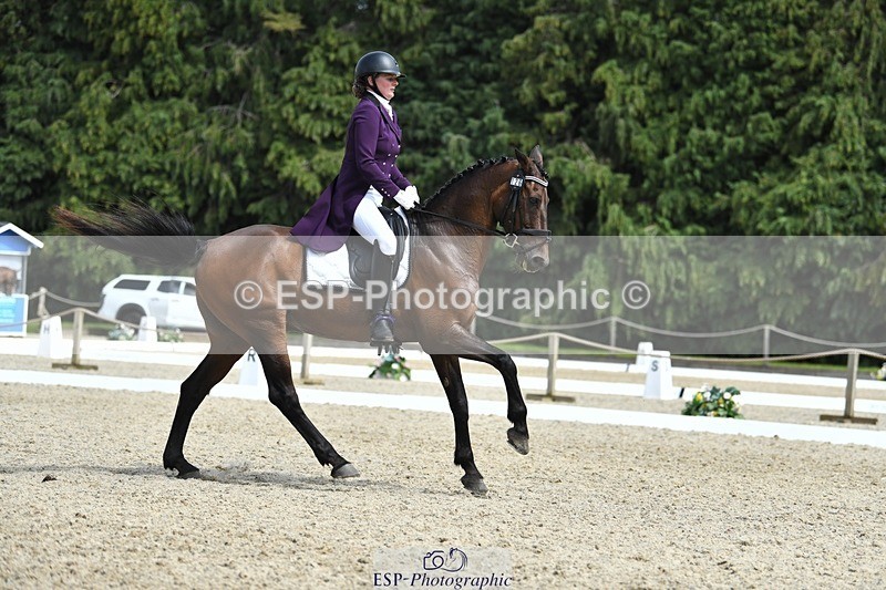 230812-134646-04499 - Cls 7 FEI PSG Bronze