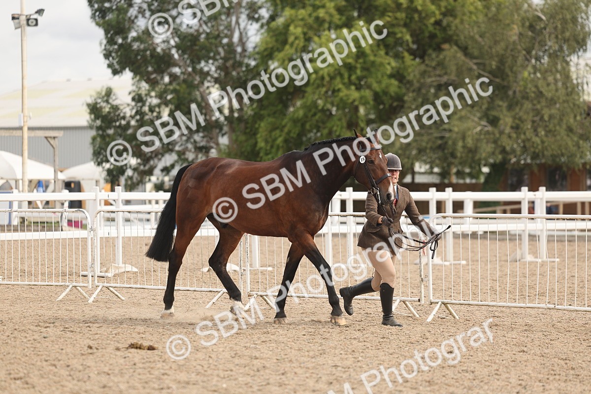 SBM_04972 - Class 20 - IH Veteran