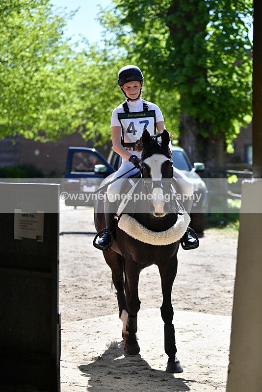 WJ5_8147 - 100cm time 14:54 to 15:00