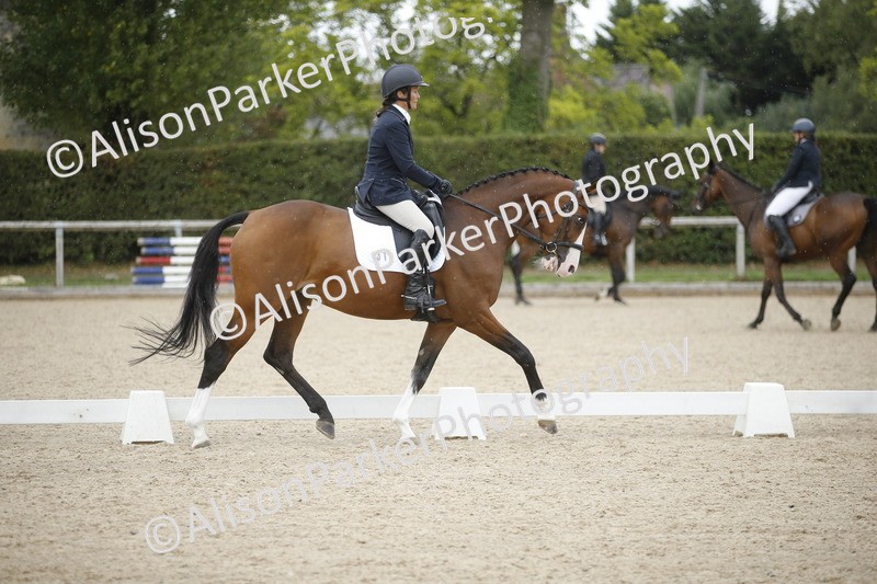 20260913-0398 - Class 3 - Novice 5