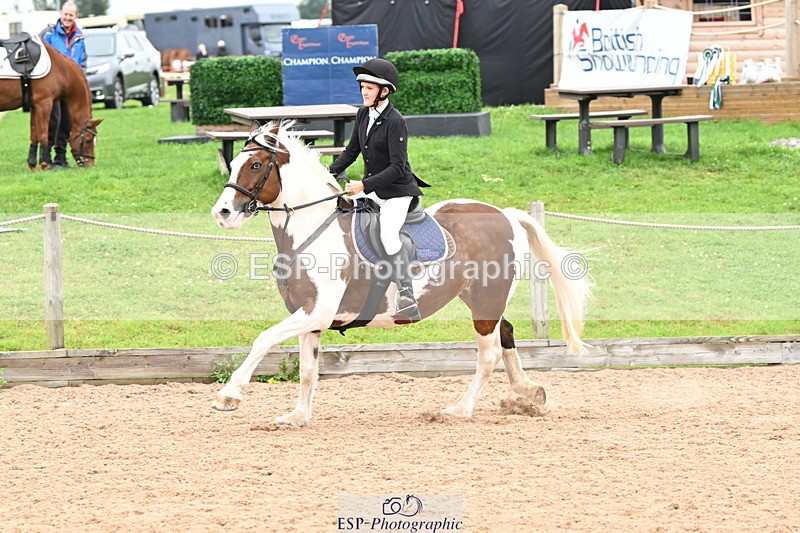 240907A-131959-01960 - Cls 3 Pony Medium Team 80cm & 90cm