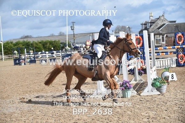 BPP_2638 - CLASS 28 48cm Pony Royal Highland Show Championship Qualifier