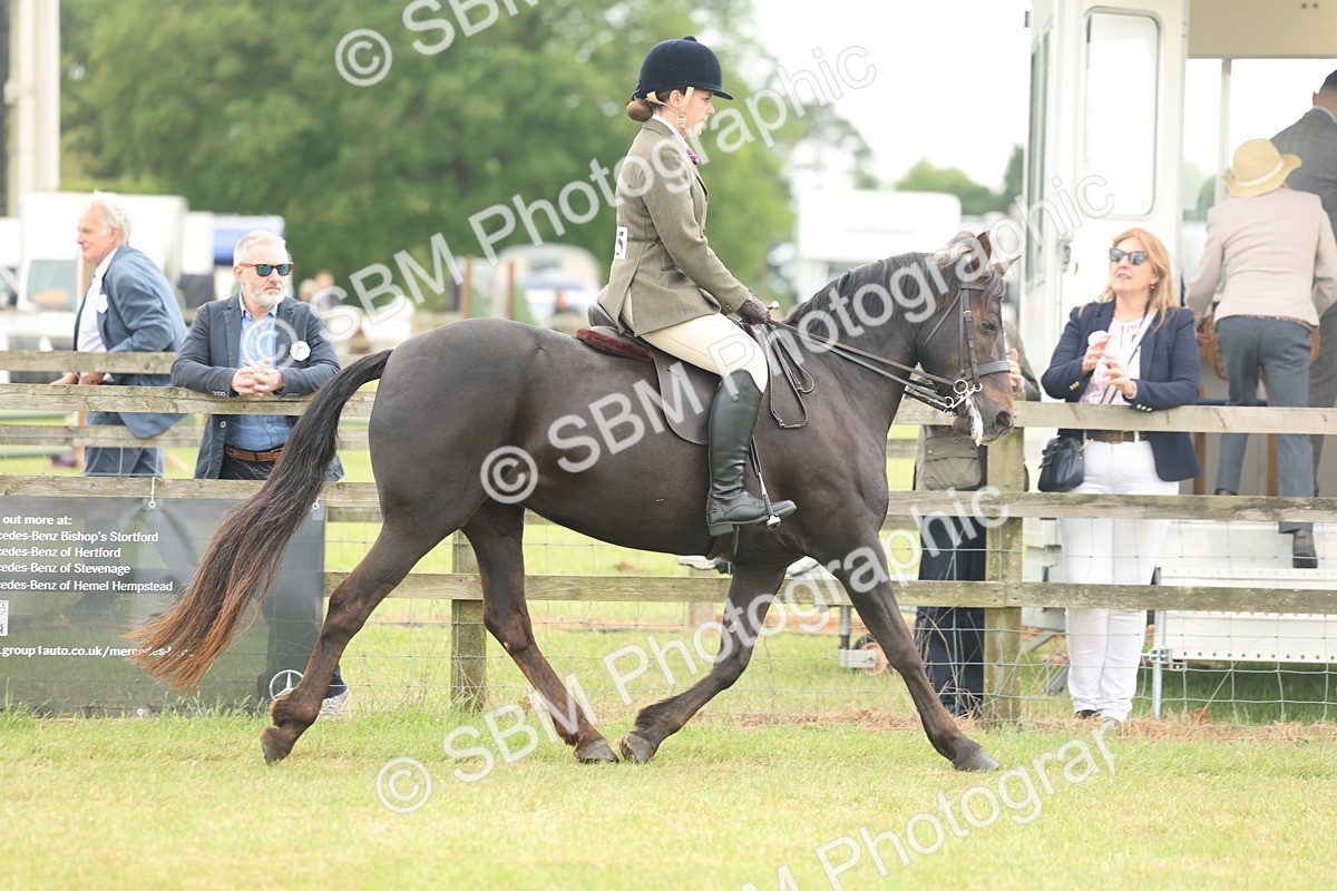 SBM_09081 - Class 78-80 - Ridden M&M Non Welsh Ponies