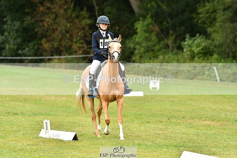 250820A-103825-04665 - Start to 11am