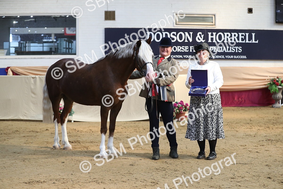SBM_01398 - Class 3a Area IH Pre Vet