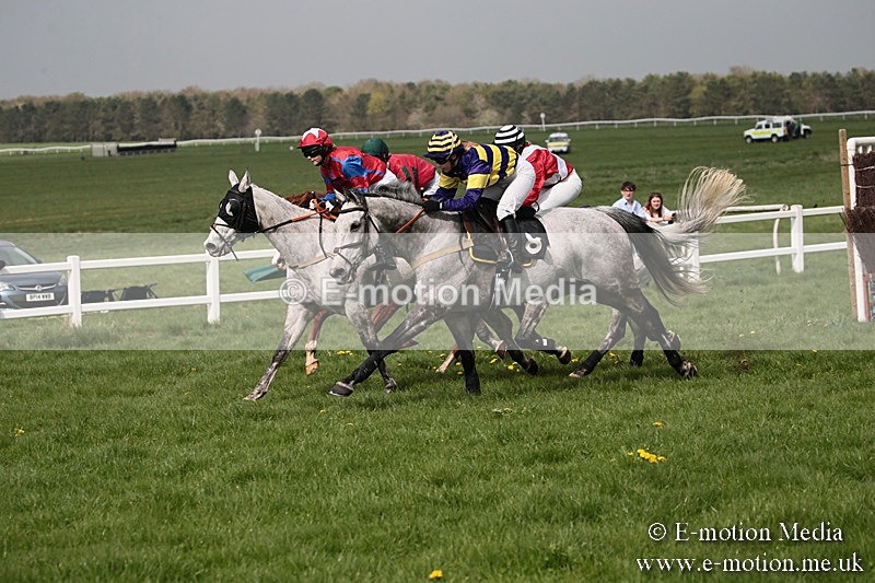 PtP 210418 262 - South & West Wilts Point-to-Point Larkhill 21/04/18
