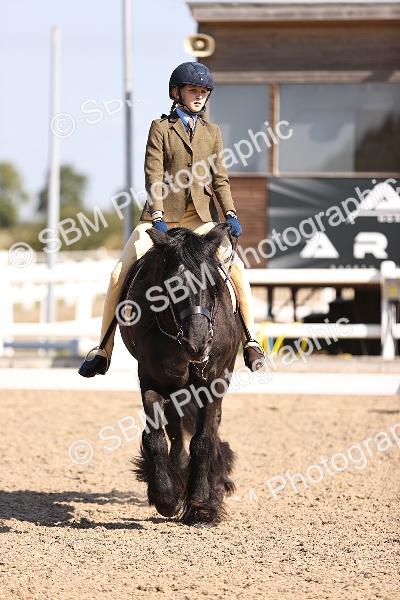 SBM_03479 - CLass 35 Intro 3