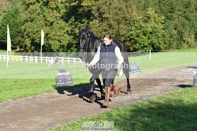 231022-103826-22635 - 505-MR.DARCY-Eleanor.Newcombe-TrotUp+SJ