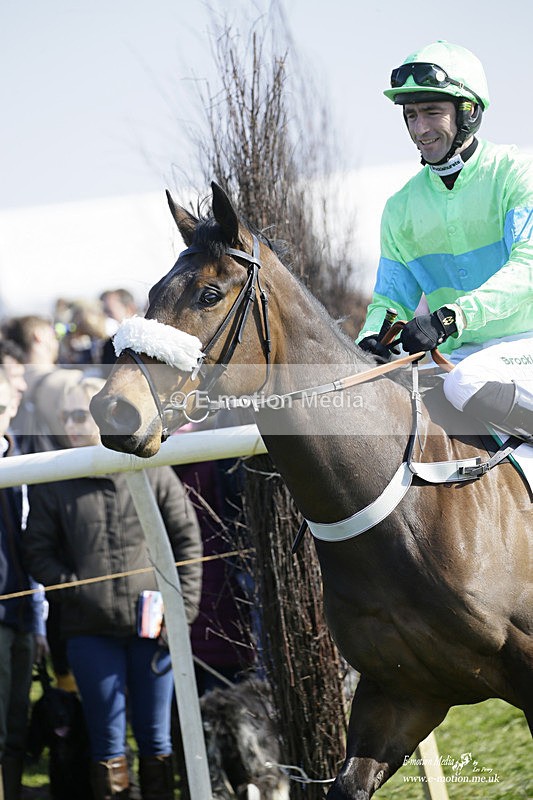 PtP 200322 108 - Mendip Farmers Point-to-Point 20/03/22