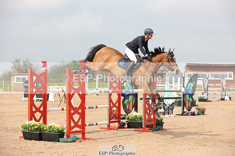 250424-105409-03288 - Cls 33 Young Horse 7yr old