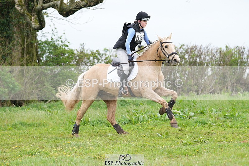 250419-130040-10033 - 523-Kate.Hicks-SWALLOWCROFT.STARDUST