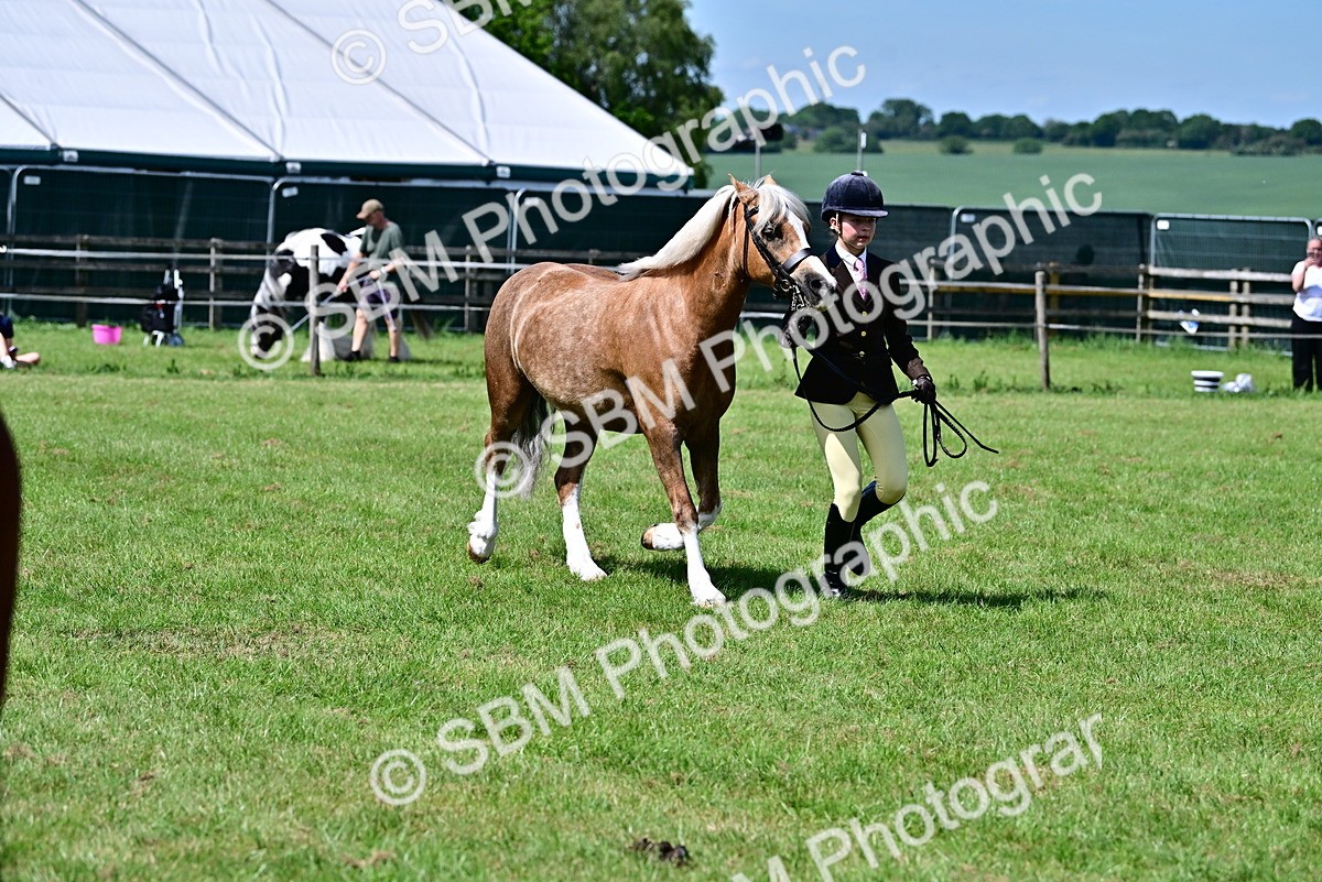 SBM_08057 - Class 61-62 - TSR  M&M Ridden Amateur of the Year