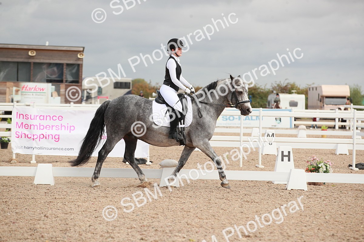 SBM_03943 - Class 31 - Prelim 1