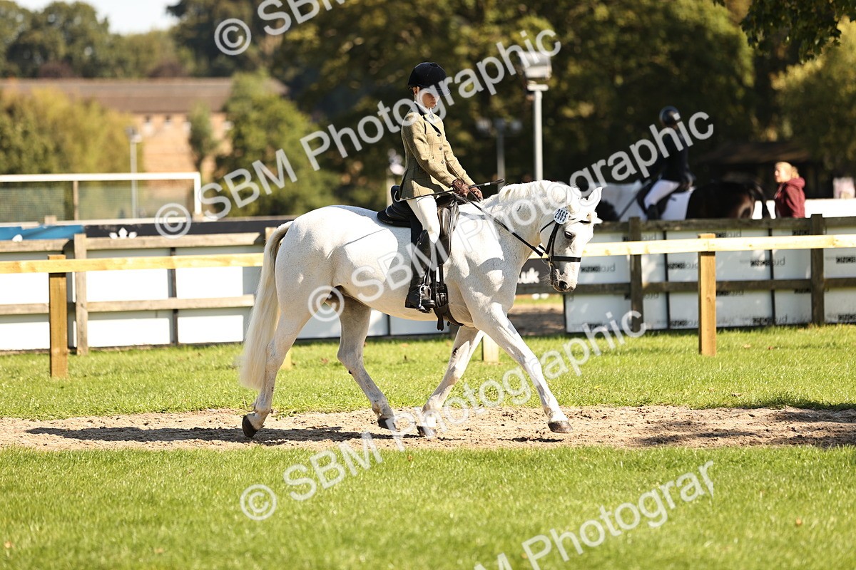 SBM_19125 - S3 - TSR Ridden Pony Showing