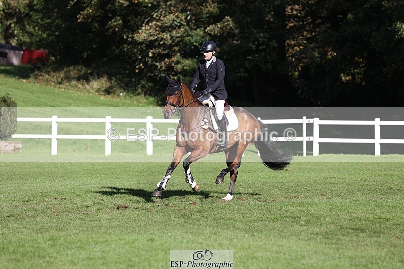 231022-113605-25264 - 683-ALVESCOT.FIVE.STAR-Mark.Ford-TrotUp+SJ