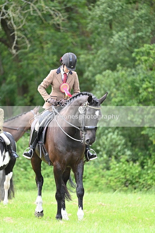 WJ7_1598 - Class 11 Condition & Turnout
