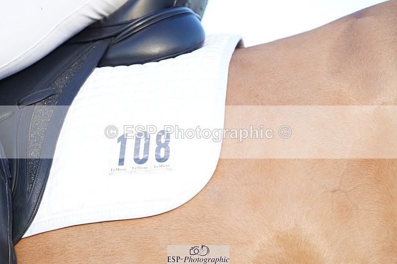 241214-102446-00167 - 108-Pippa.Knight-KFS.Boston.Burglar