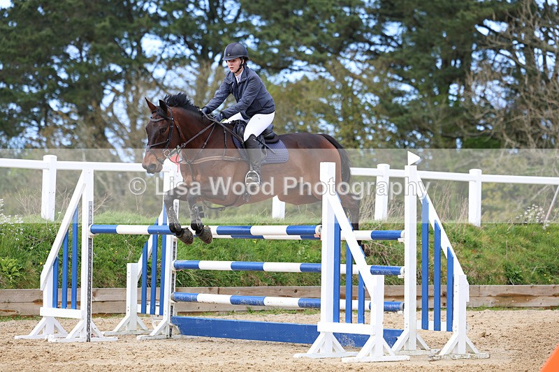 3E7A2076 - Class 8: Senior Foxhunter/1.20 open