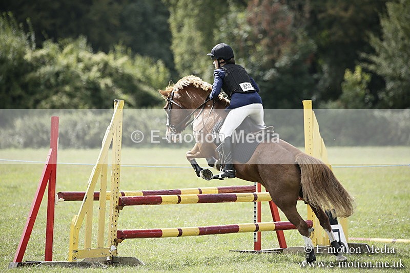 BVR090918 597 - BVRC Dressage and Show Jumping 09/09/18