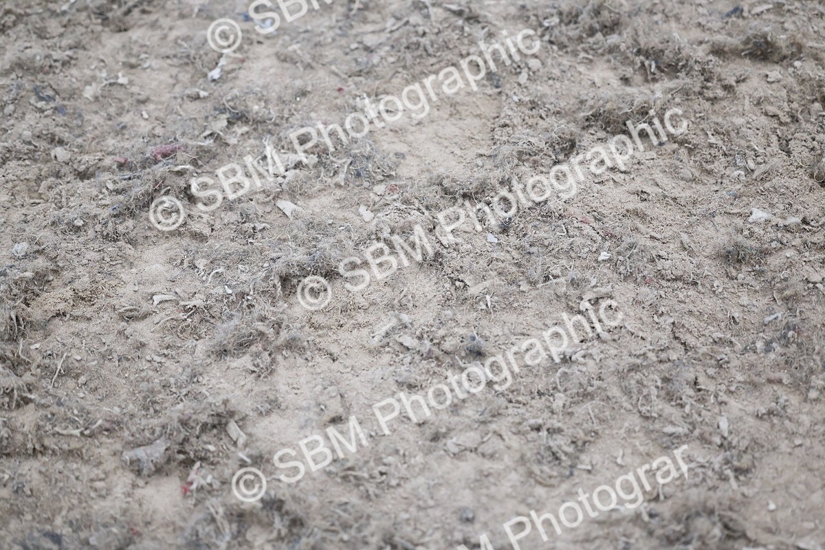 SBM_000187 - Class 4 - clear round showjumping