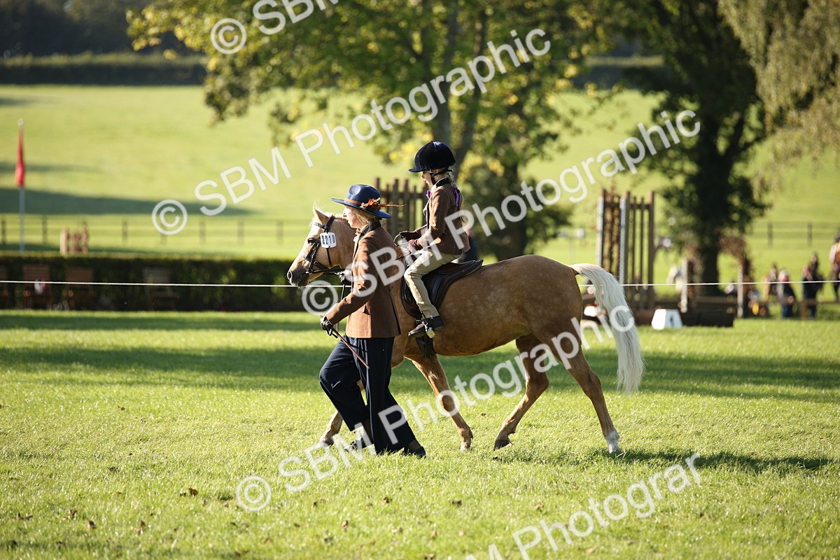 SBM_35746 - S9 - Lead Rein Equitation