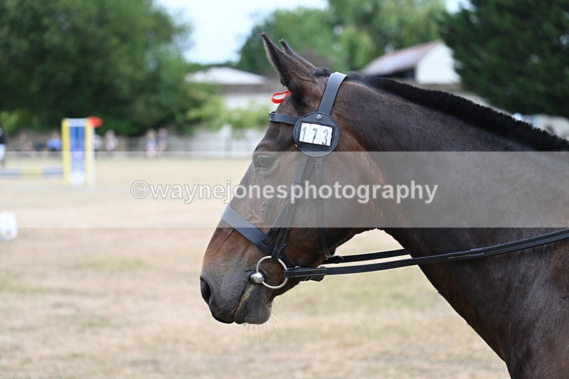 WJ7_1354 - Class 8 Ridden Veterans