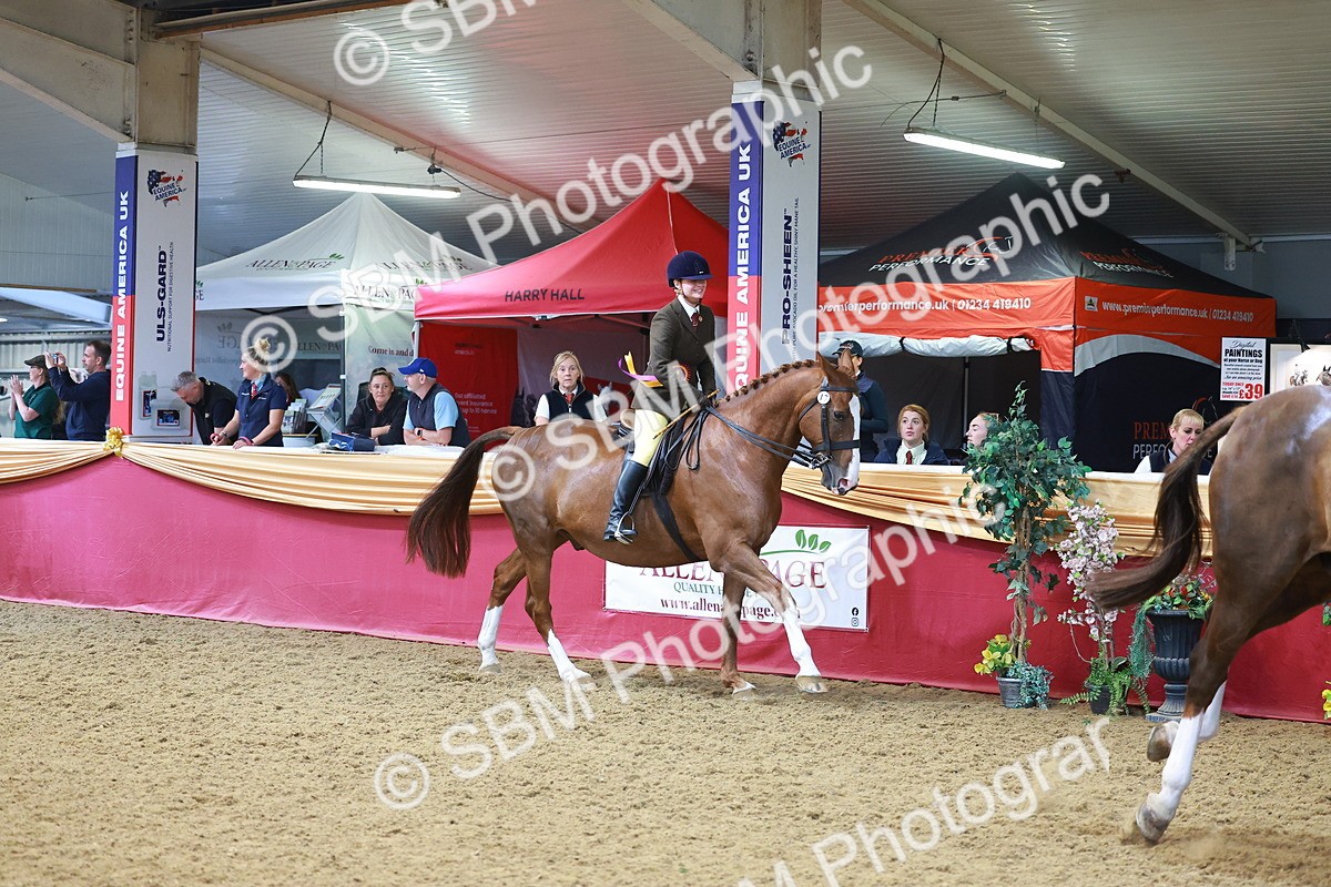 SBM_12716 - Class 103 - HOYS Veteran Qualifier - Ridden Pre Vet