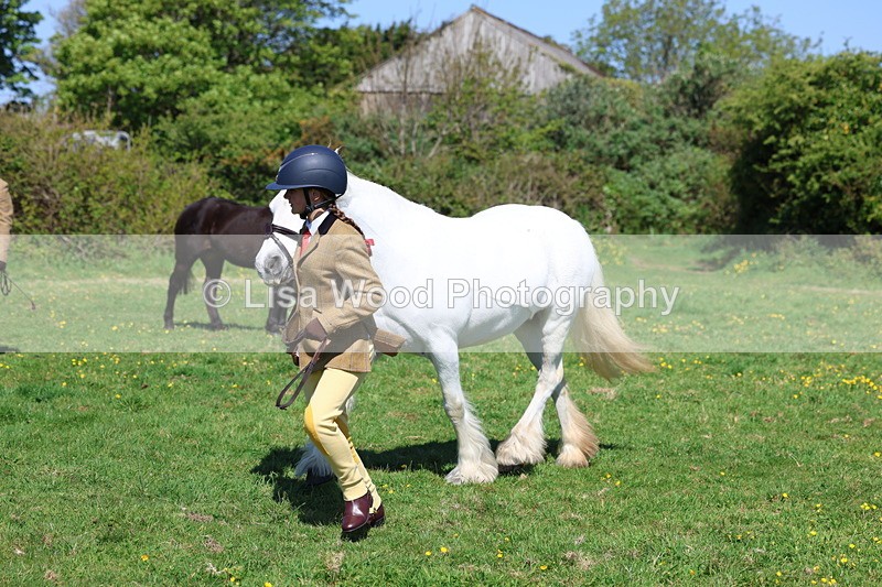 3E7A9900 - Class 17: Young Handler