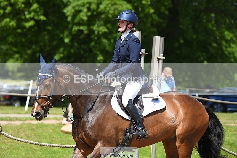 230528-112656-15216 - 379-QUIZICAL_Z-Alice_Hallows-SUNTrotUp+SJ