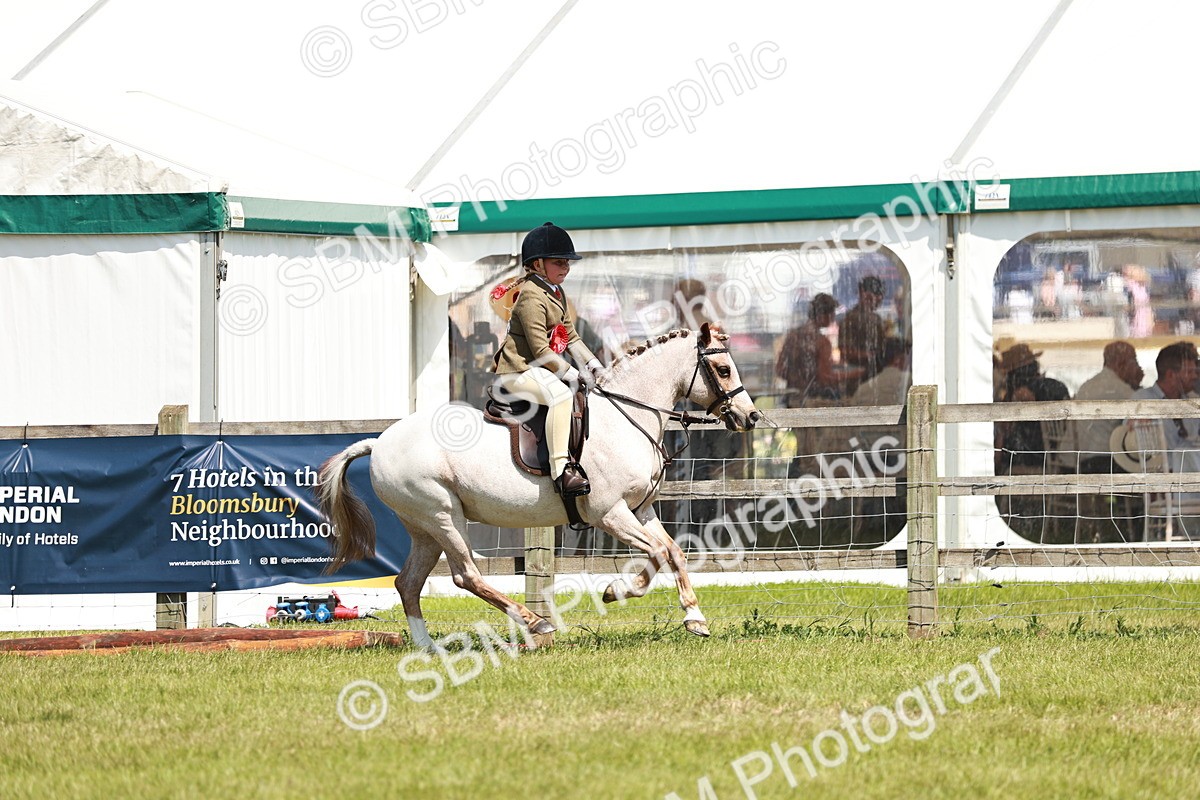 SBM_15787 - Class 108-109 - BSPS LIHS Open Gradle & Nursery Stakes